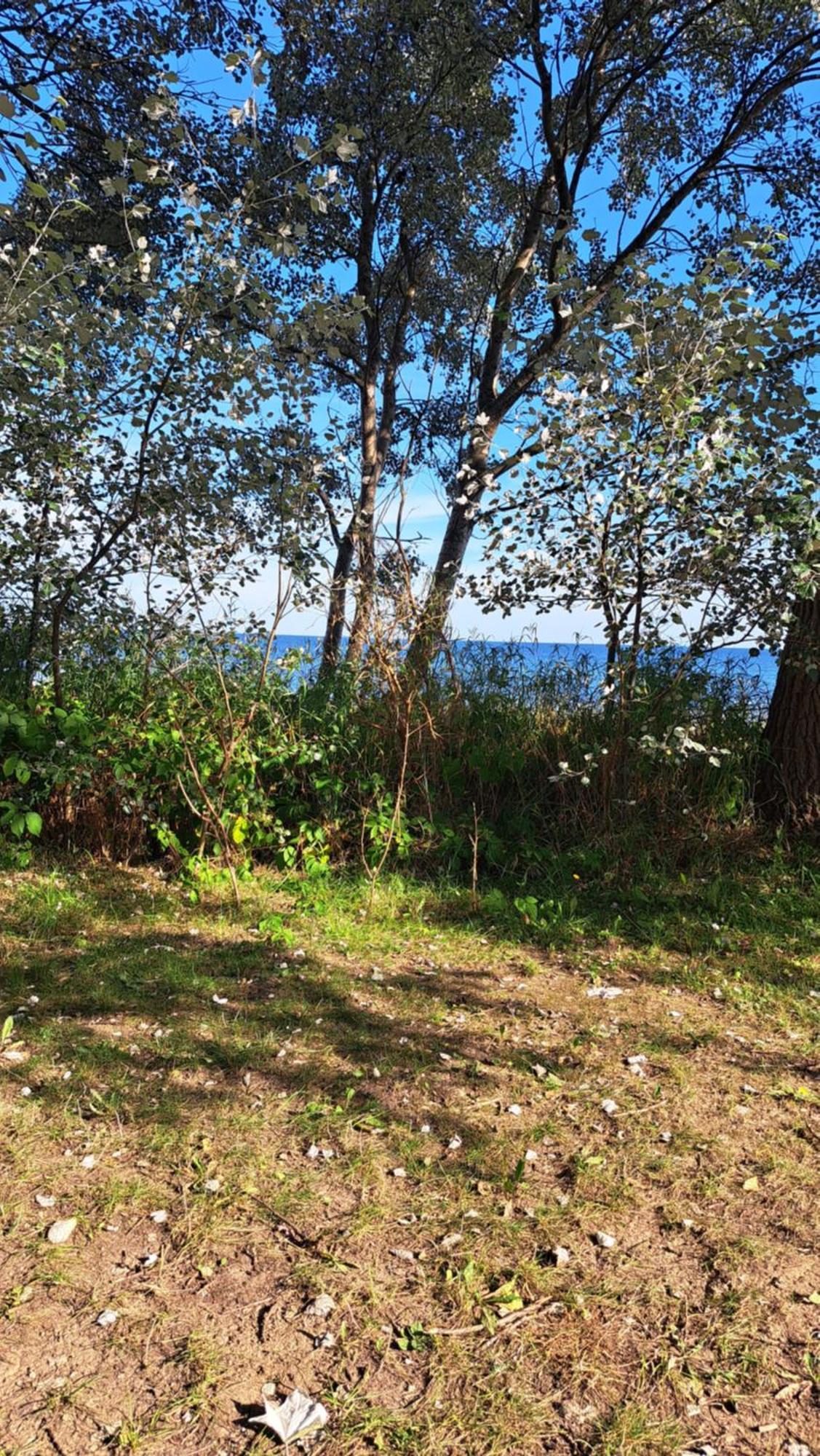 Fewo Unter Der Kuehlung Bastorf Exterior foto